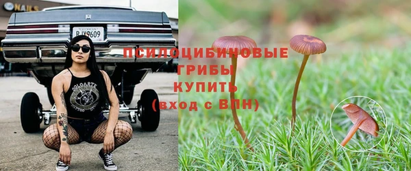 прущие крисы Майский